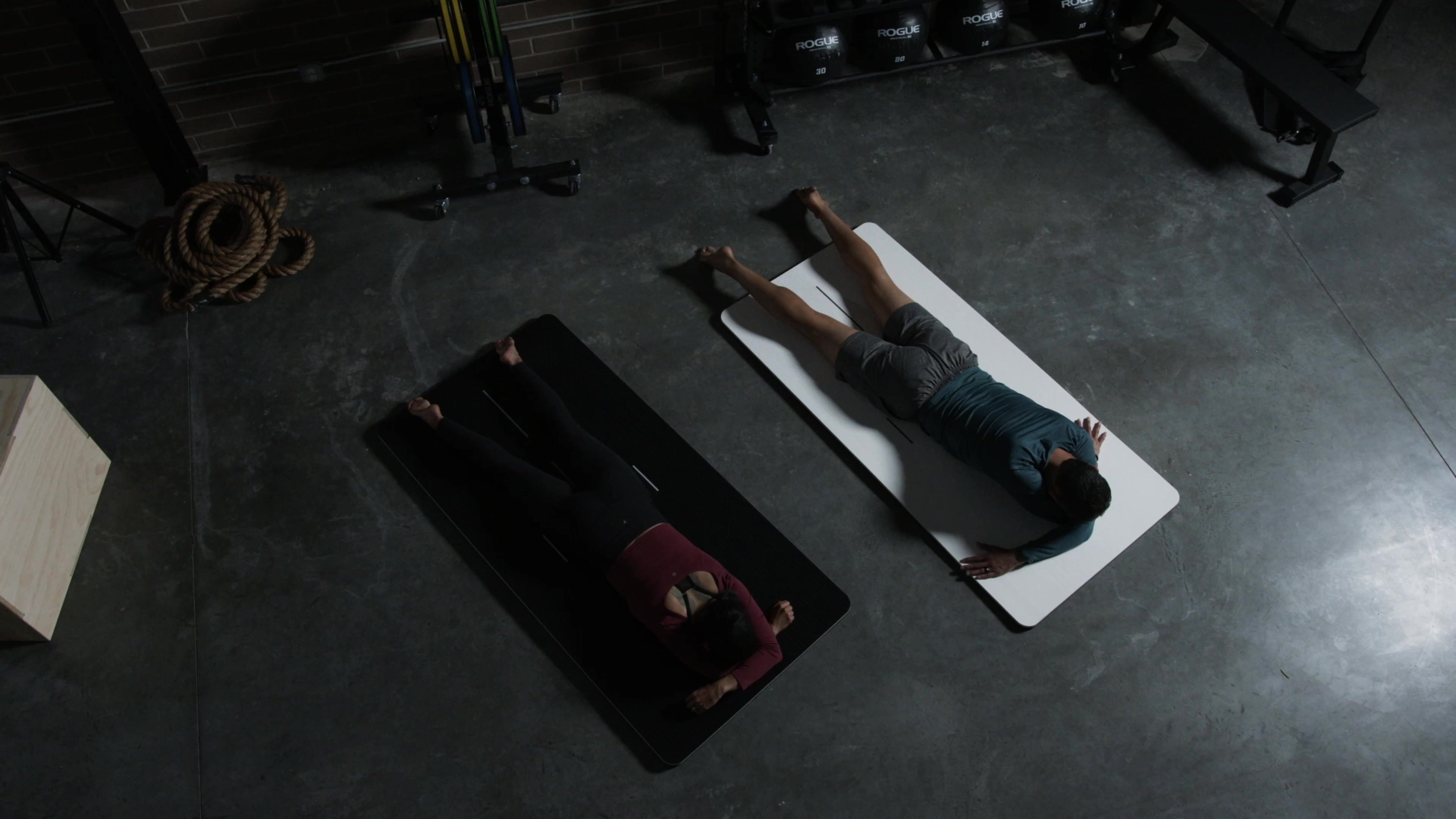 Shoulders 20221109 // pliability